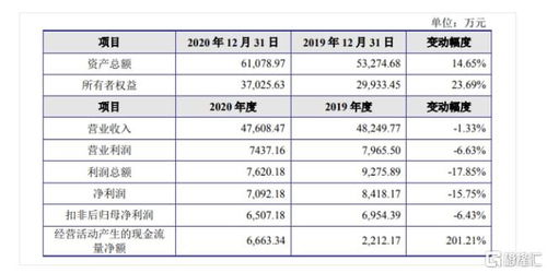 金智教育科創(chuàng)板IPO 聚焦高等教育信息化，2020年?duì)I收達(dá)4.7億元，軟件開發(fā)為核心引擎